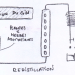 PRODUCTION DU GIN