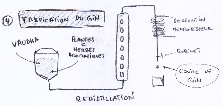 PRODUCTION DU GIN PRODUCTION DU GIN